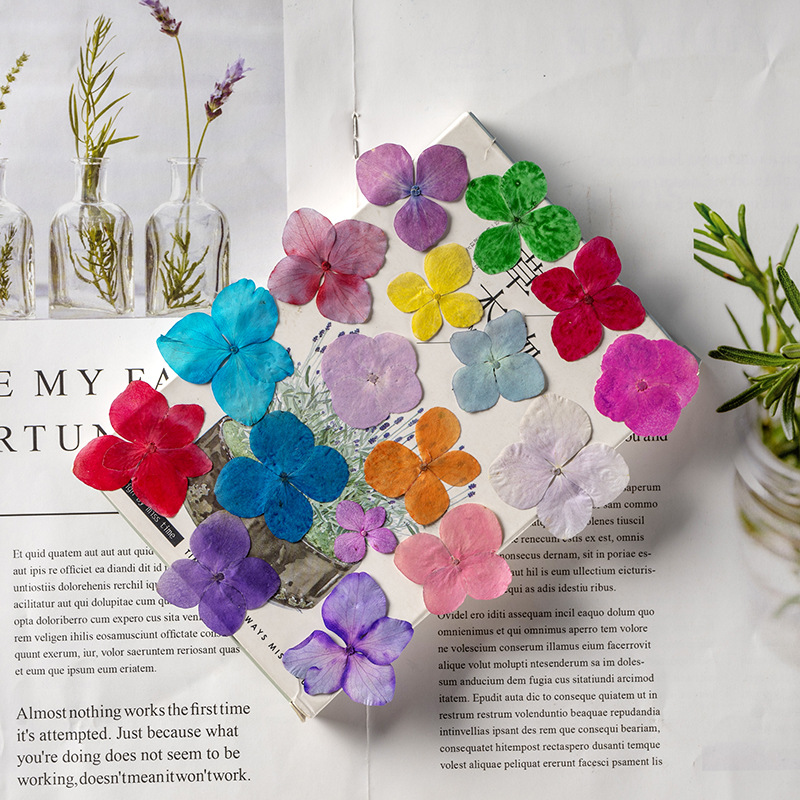 60Pcs Anna Hydrangea Color-Abs - Dried Flower Bookmark 评论和价格
