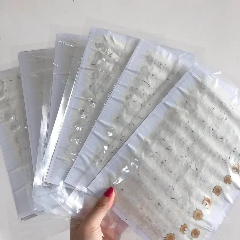 60X Pressed Dried Natural Whit - Dried Flower Bookmark 评论和价格