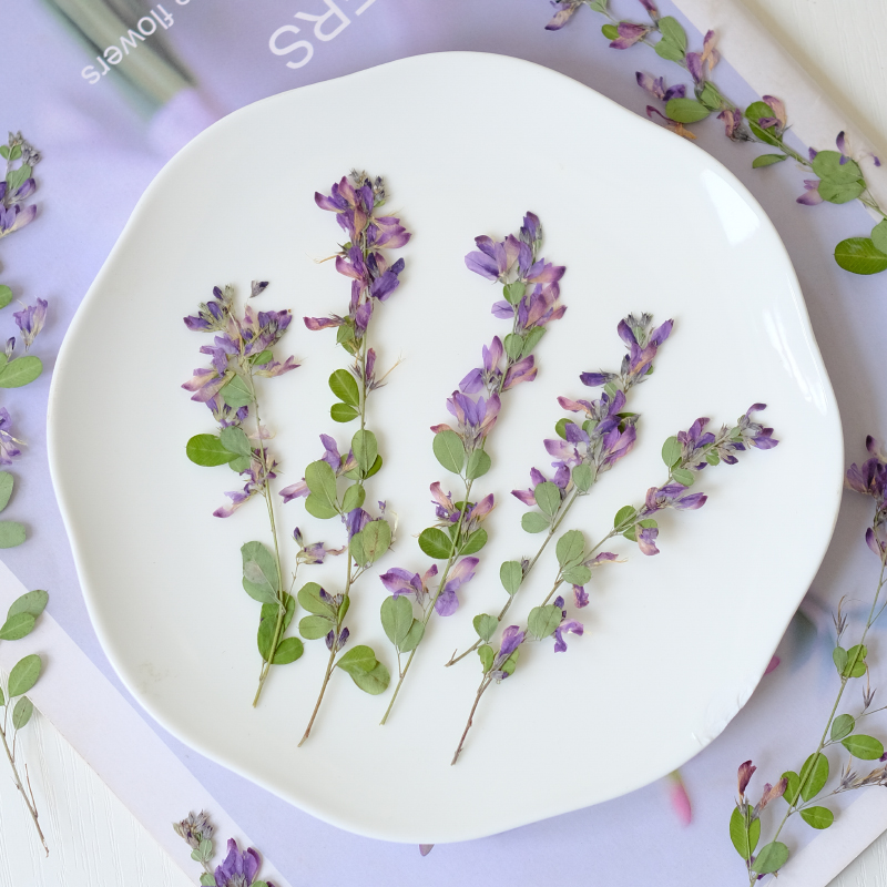 6pcs,nature Lespedeza Formosa  - Dried Flower Bookmark 评论和价格