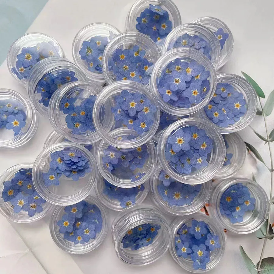 Natural Pressed Dried Blue For - Dried Flower Bookmark 评论和价格