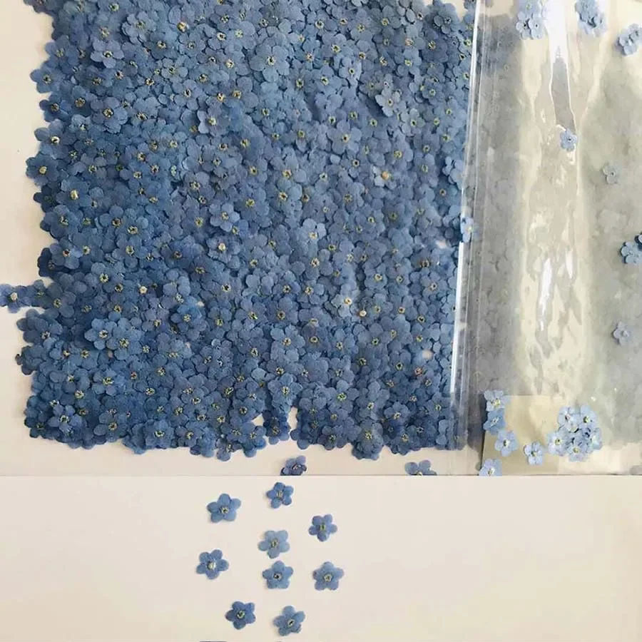 Natural Pressed Dried Blue For - Dried Flower Bookmark 评论和价格