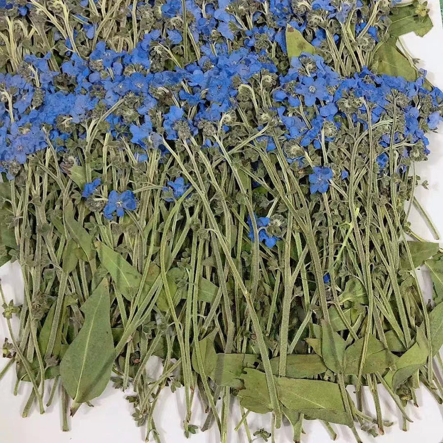 Natural Pressed Dried Blue For - Dried Flower Bookmark 评论和价格