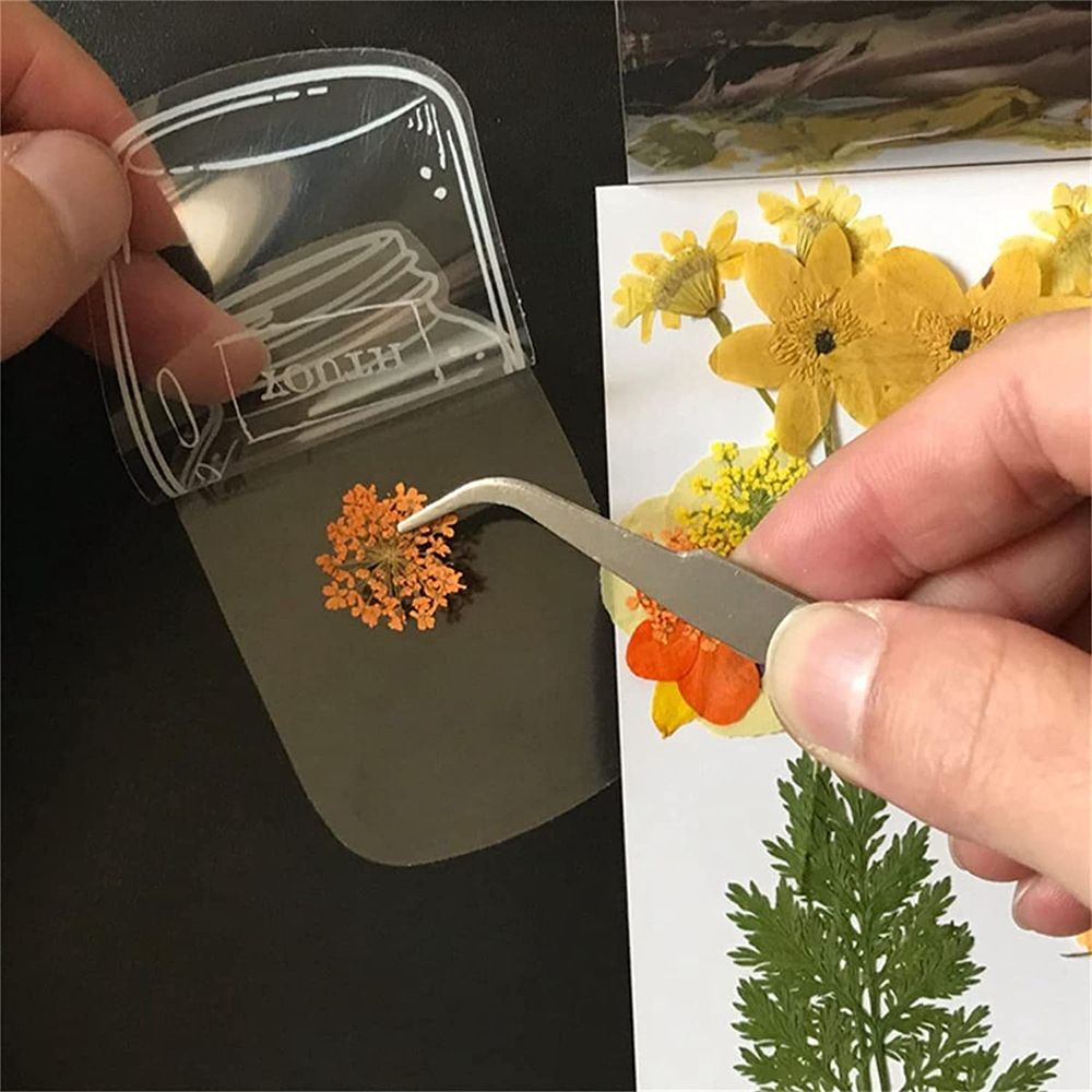 30Pcs Handmade DIY Transparent - Dried Flower Bookmark 评论和价格