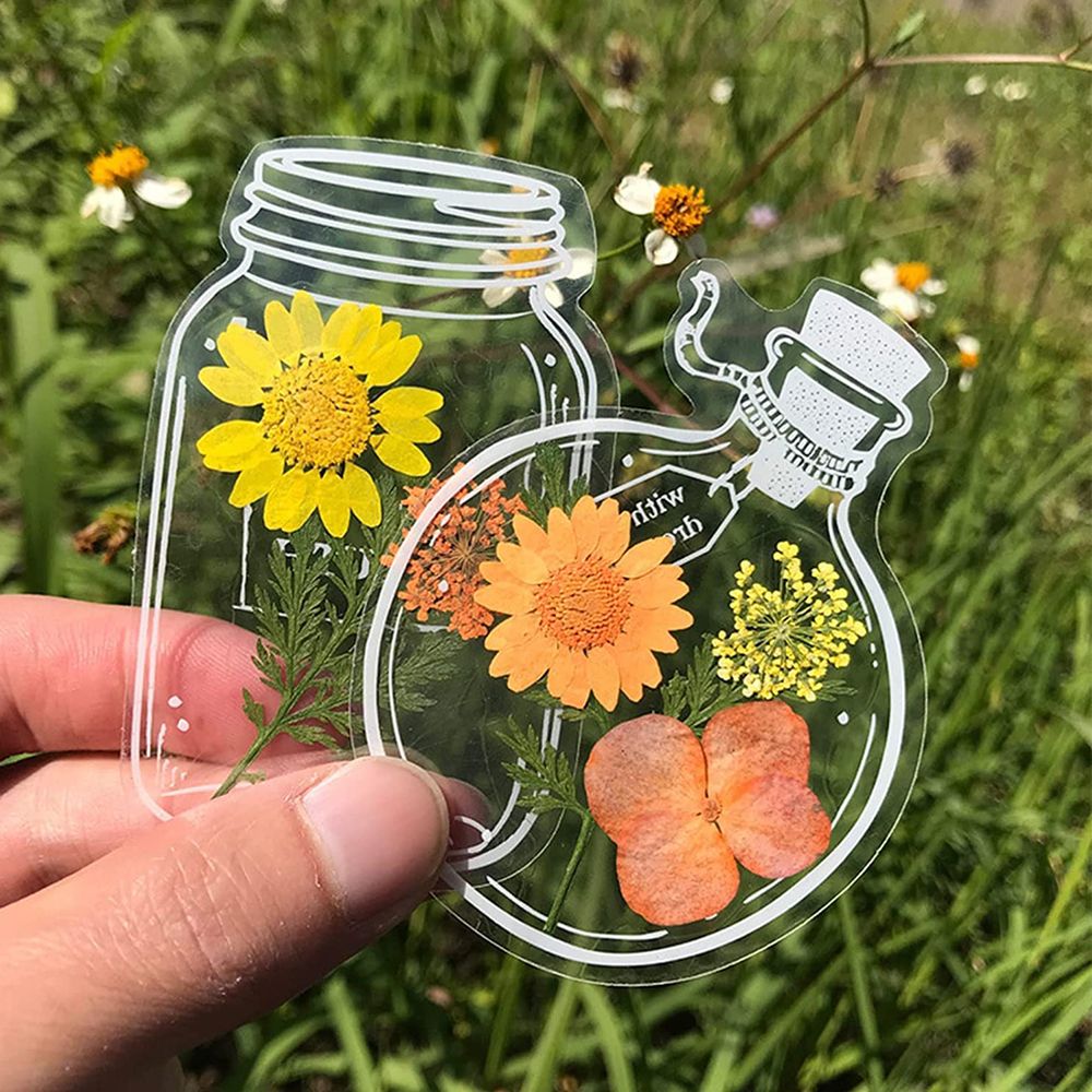 30Pcs Handmade DIY Transparent - Dried Flower Bookmark 评论和价格