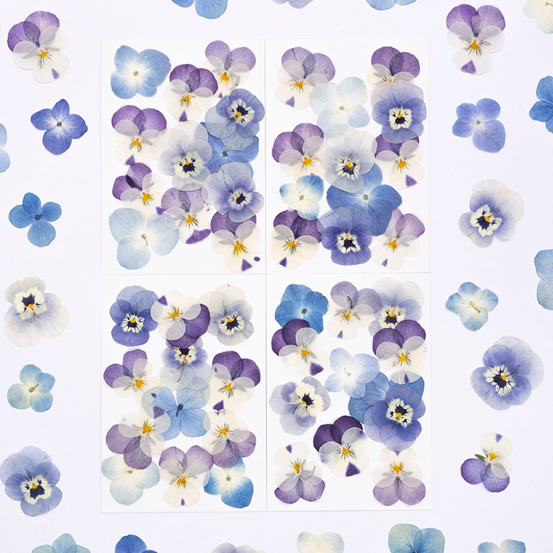 12pcs,Real Viola Cornuta Press - Dried Flower Bookmark 评论和价格