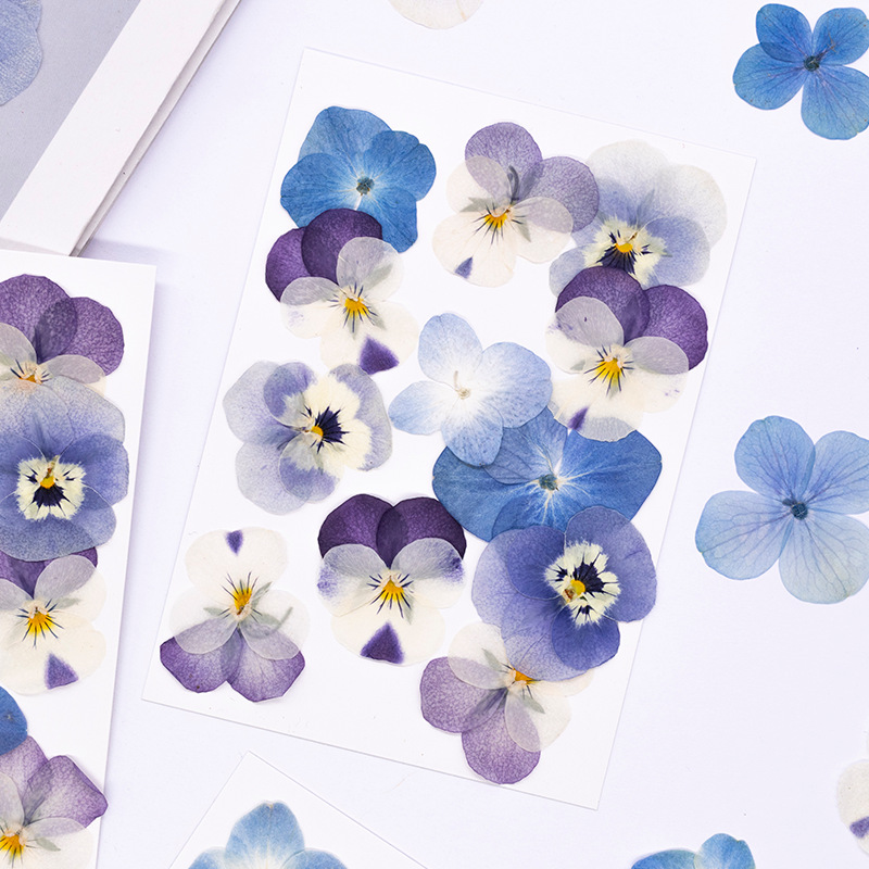 12pcs,Real Viola Cornuta Press - Dried Flower Bookmark 评论和价格