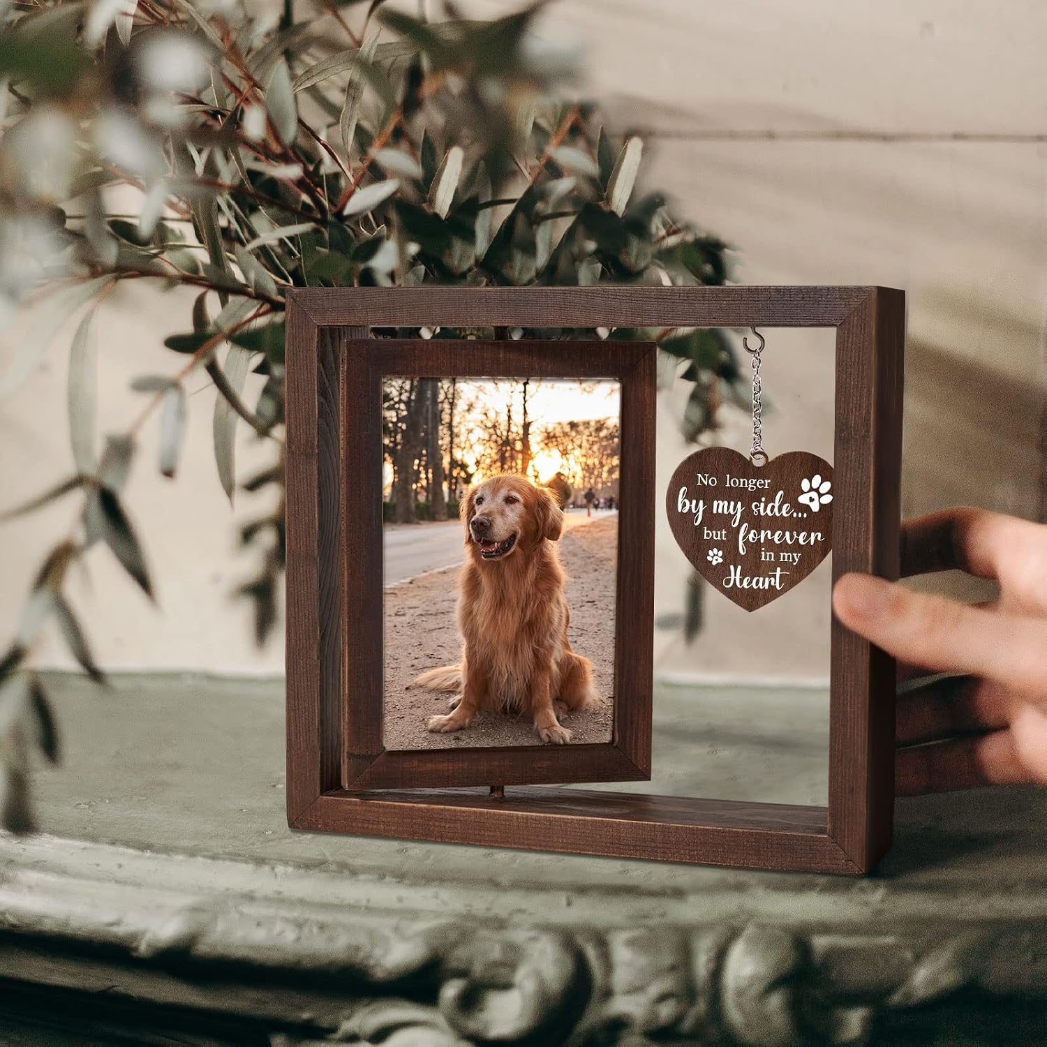 Pet Memorial Photo Frame for D - Engraved Wood Frame 评论和价格