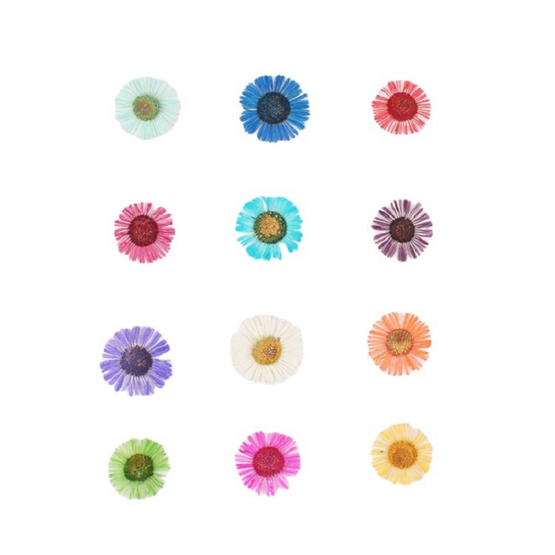 1 Set Pressed Dried Flower Eri - Dried Flower Bookmark 评论和价格