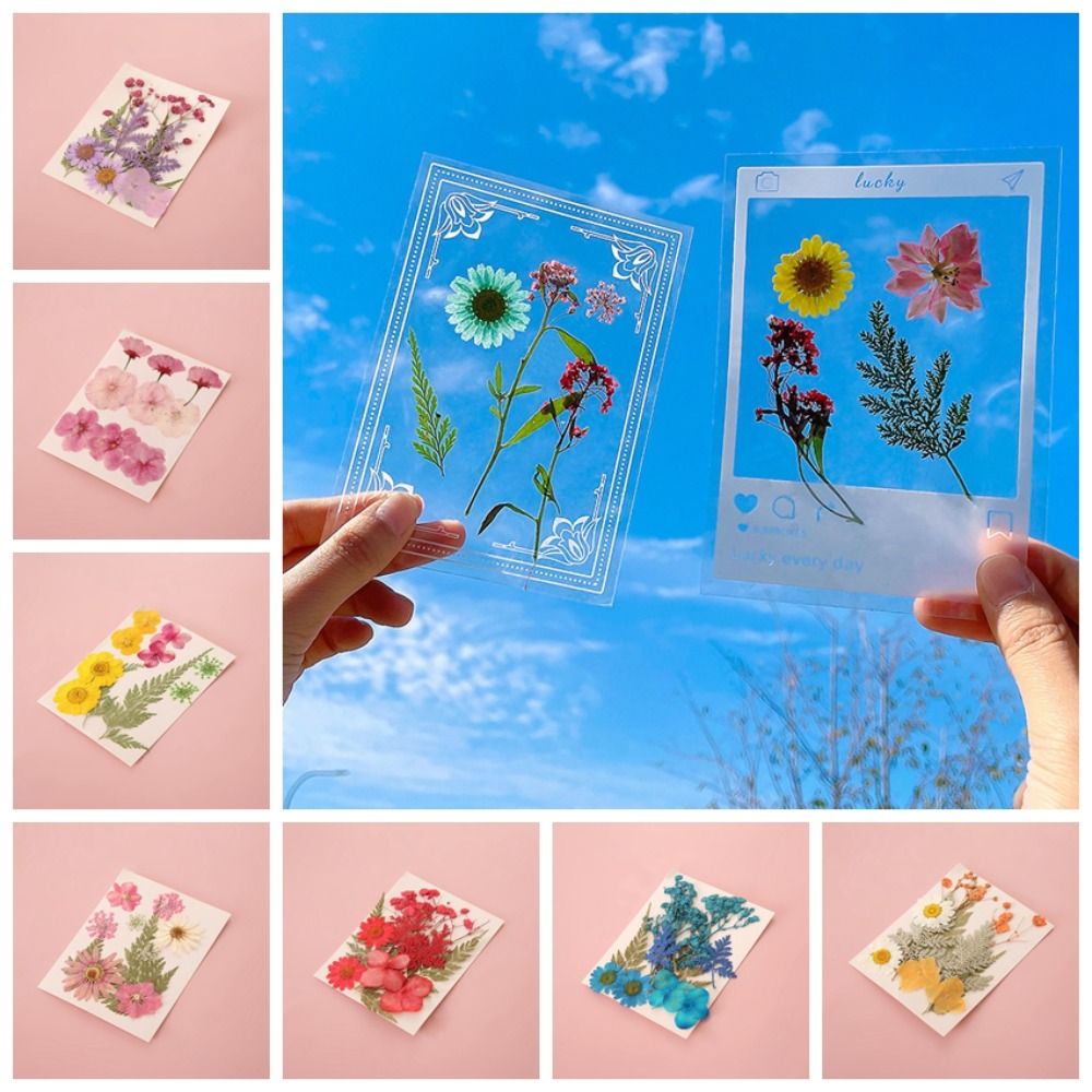 DIY Materials DIY Dried Flower - Dried Flower Bookmark 评论和价格