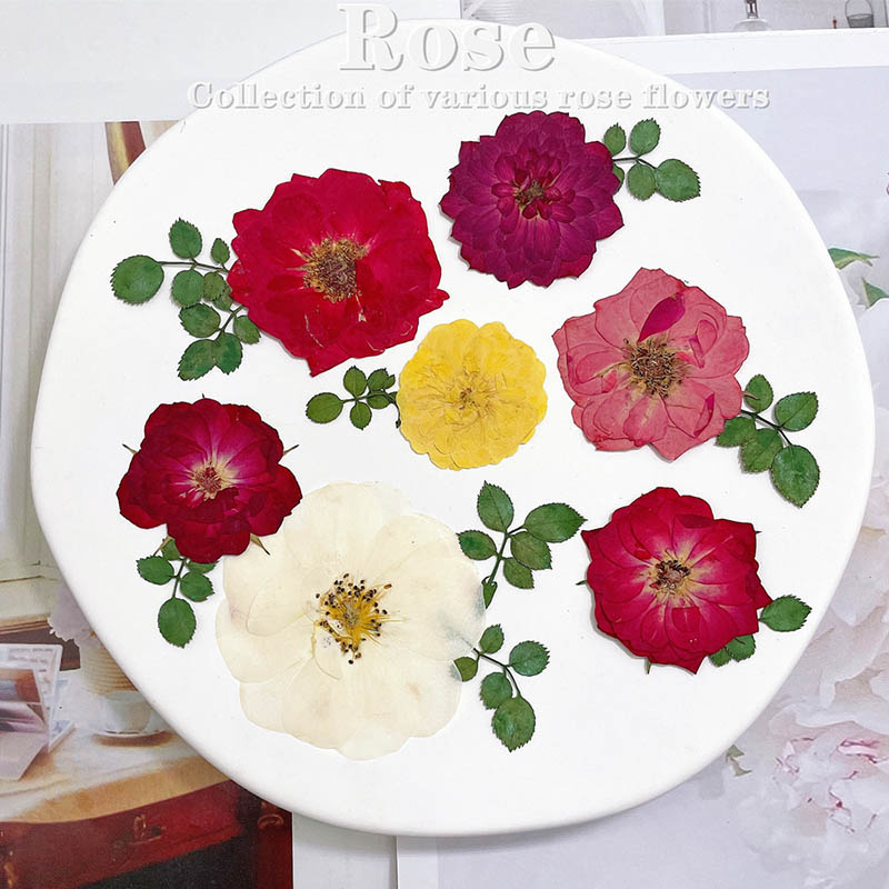 60pcs Pressed Dried Red Yellow - Dried Flower Bookmark 评论和价格