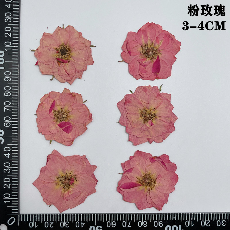 60pcs Pressed Dried Red Yellow - Dried Flower Bookmark 评论和价格