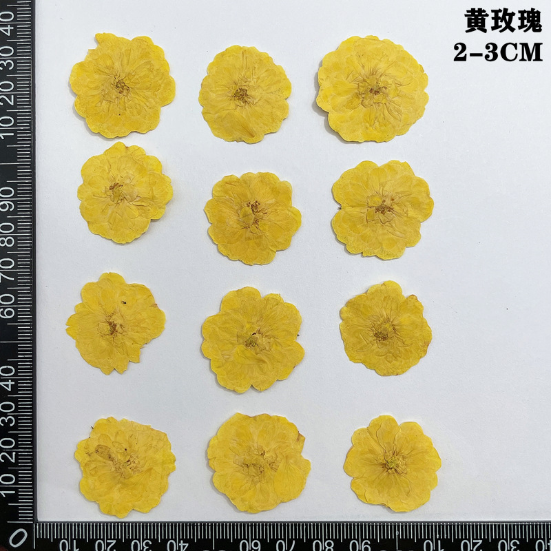 60pcs Pressed Dried Red Yellow - Dried Flower Bookmark 评论和价格