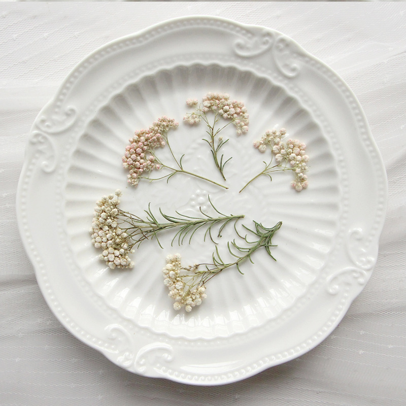 12pcs, Nature Millet Flower Br - Dried Flower Bookmark 评论和价格