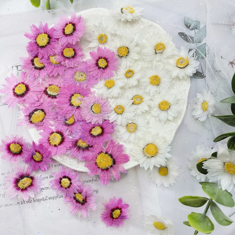 24pcs/2-4CM,Natural Pressed Fl - Dried Flower Bookmark 评论和价格