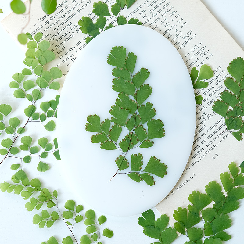 60Pcs Natural Plant Real Flowe - Dried Flower Bookmark 评论和价格