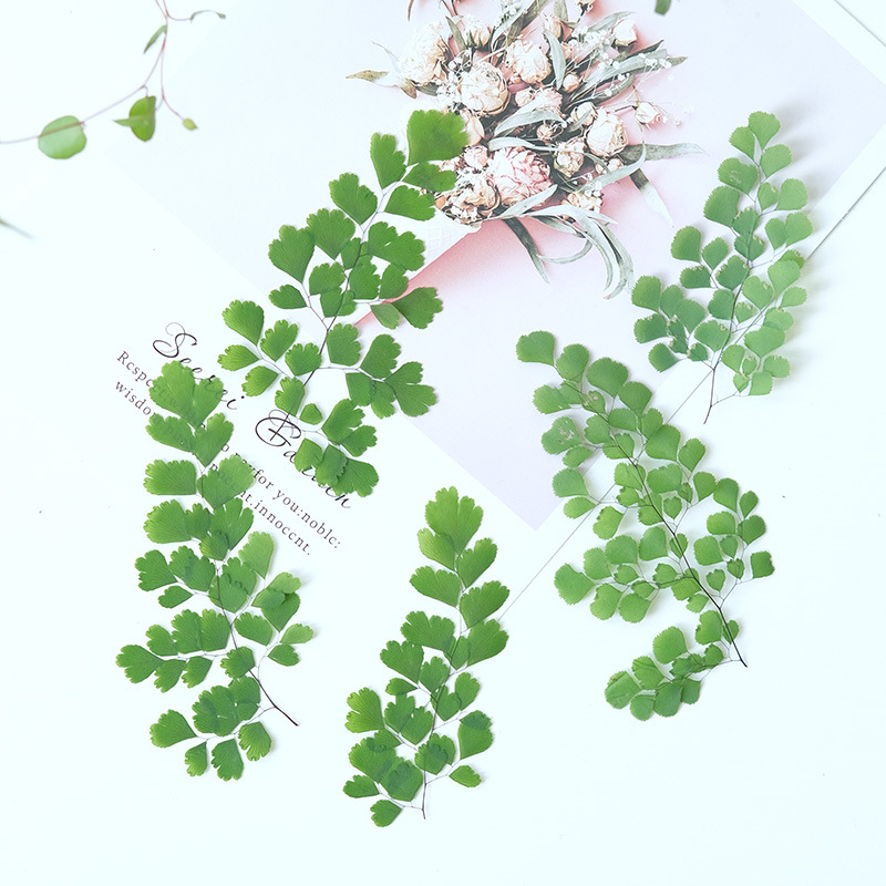 60Pcs Natural Plant Real Flowe - Dried Flower Bookmark 评论和价格