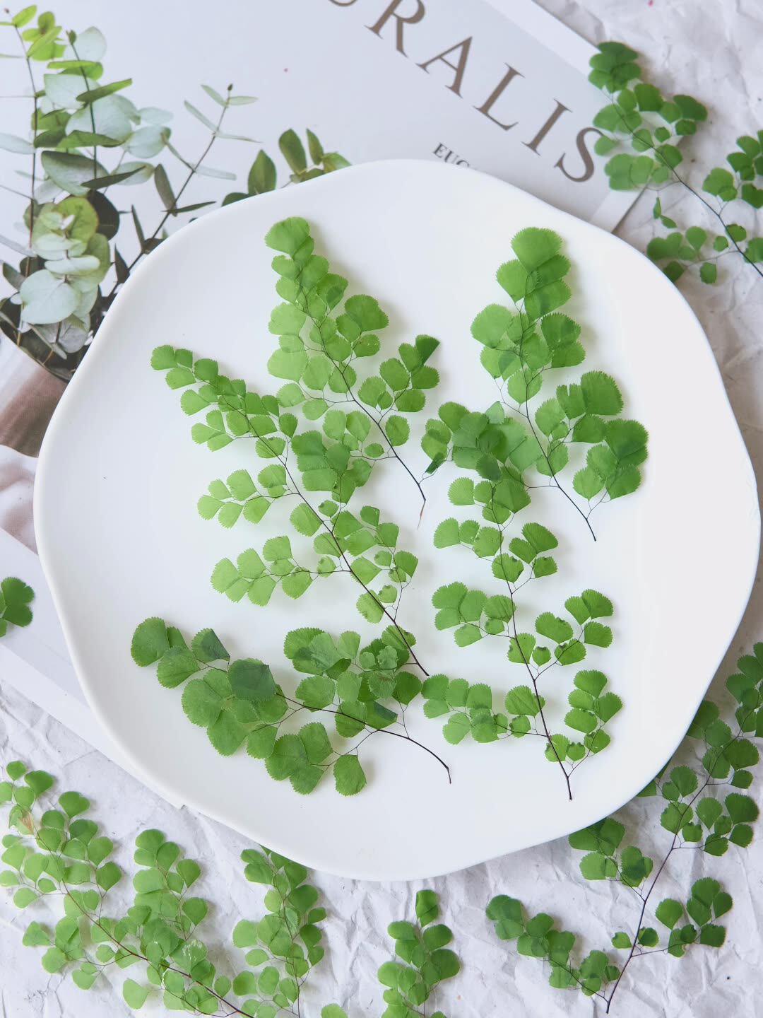 60Pcs Natural Plant Real Flowe - Dried Flower Bookmark 评论和价格