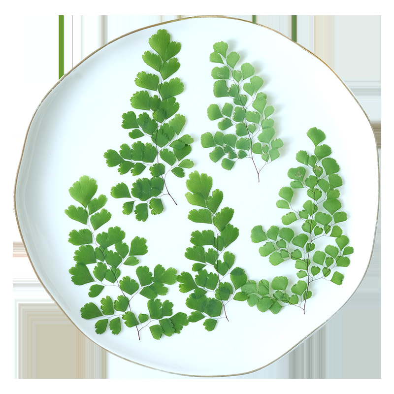 60Pcs Natural Plant Real Flowe - Dried Flower Bookmark 评论和价格