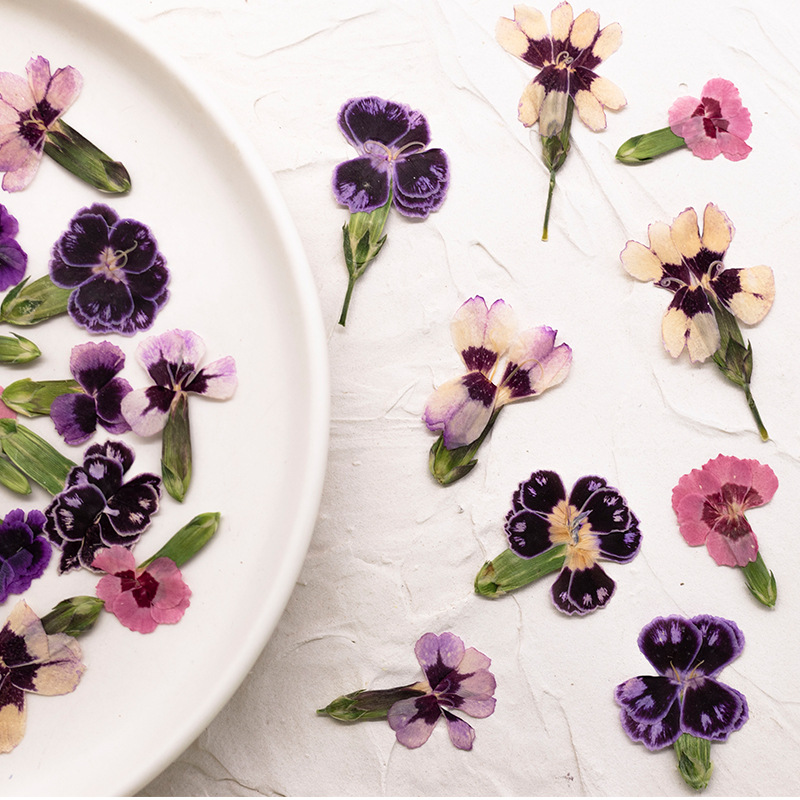 24pcs,Pressed Dried Dianthus F - Dried Flower Bookmark 评论和价格