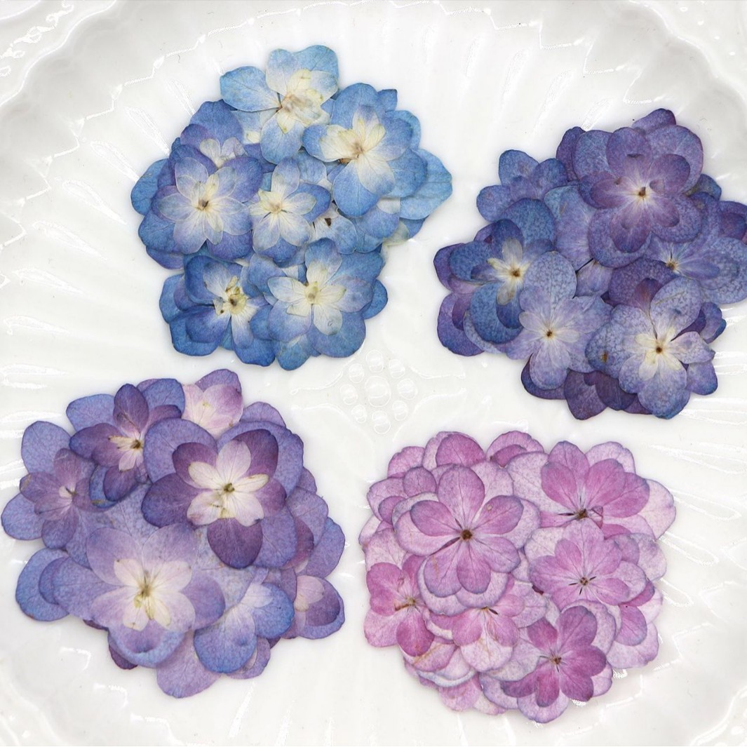60Pcs Mini Double-Flowered Hyd - Dried Flower Bookmark 评论和价格