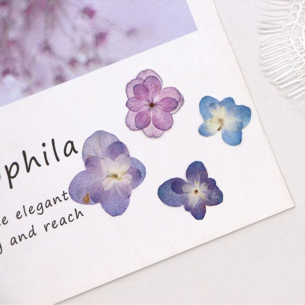 60Pcs Mini Double-Flowered Hyd - Dried Flower Bookmark 评论和价格