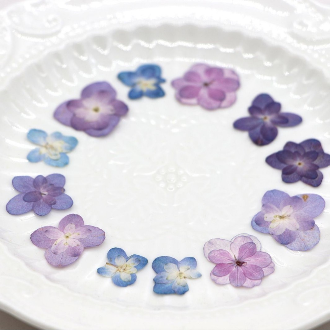 60Pcs Mini Double-Flowered Hyd - Dried Flower Bookmark 评论和价格