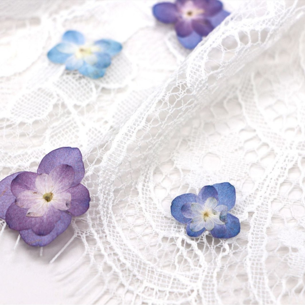 60Pcs Mini Double-Flowered Hyd - Dried Flower Bookmark 评论和价格
