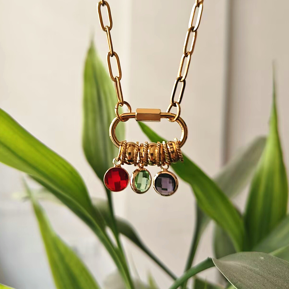 Custom Carabiner Name Charm Ne - Birth Flower Necklace 评论和价格