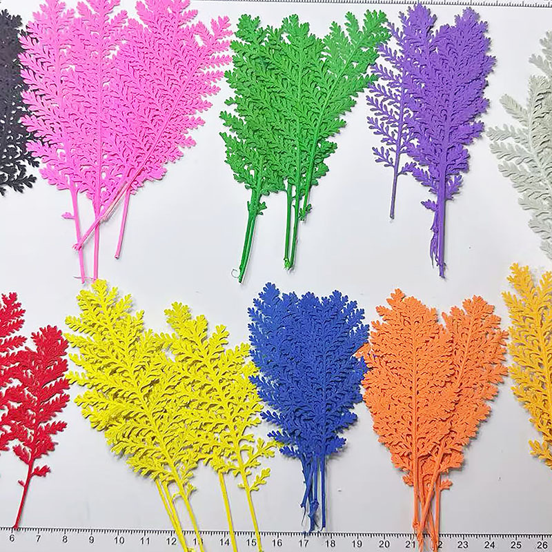100Pcs Natural Silver Feather  - Dried Flower Bookmark 评论和价格
