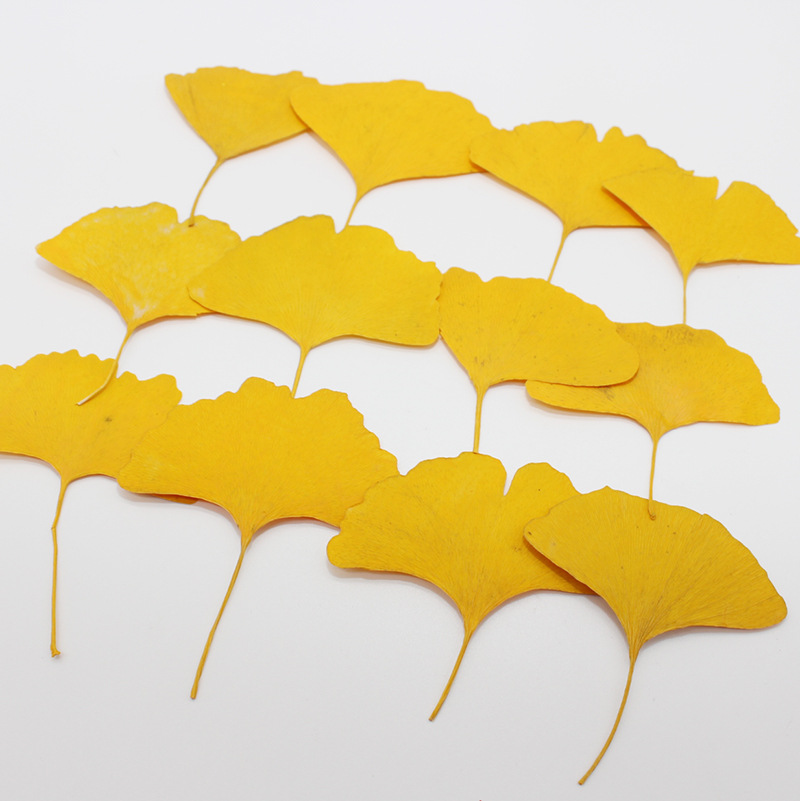 60pcs Pressed Dried Yellow/Gre - Dried Flower Bookmark 评论和价格