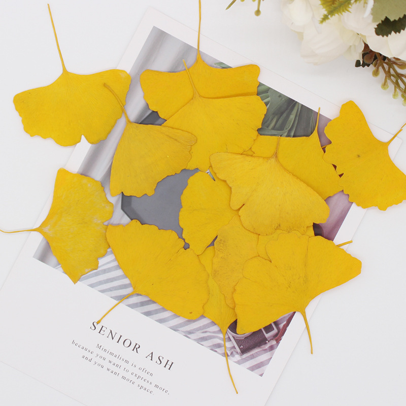 60pcs Pressed Dried Yellow/Gre - Dried Flower Bookmark 评论和价格